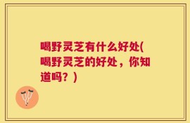 喝野灵芝有什么好处(喝野灵芝的好处，你知道吗？)