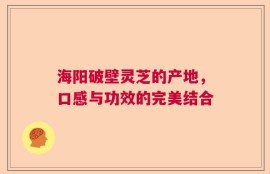 海阳破壁灵芝的产地，口感与功效的完美结合