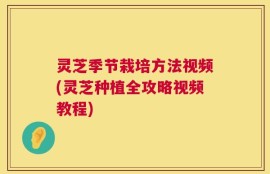灵芝季节栽培方法视频(灵芝种植全攻略视频教程)