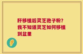 肝移植后灵芝孢子粉？我不知道灵芝如何移植到盆里