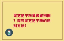 灵芝孢子粉显微鉴别图？探究灵芝孢子粉的识别方法？