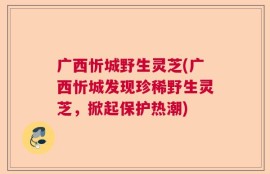 广西忻城野生灵芝(广西忻城发现珍稀野生灵芝，掀起保护热潮)