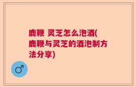 鹿鞭 灵芝怎么泡酒(鹿鞭与灵芝的酒泡制方法分享)