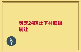 灵芝24区灶下村旺铺转让