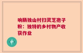 响肠独山村扫灵芝孢子粉：独特的乡村物产收获作业