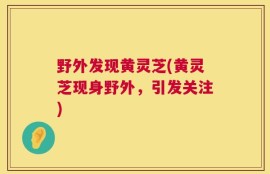 野外发现黄灵芝(黄灵芝现身野外，引发关注)