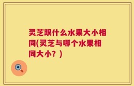 灵芝跟什么水果大小相同(灵芝与哪个水果相同大小？)