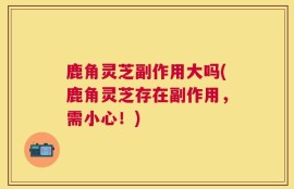 鹿角灵芝副作用大吗(鹿角灵芝存在副作用，需小心！)