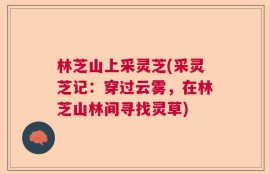 林芝山上采灵芝(采灵芝记：穿过云雾，在林芝山林间寻找灵草)