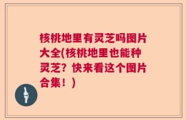 核桃地里有灵芝吗图片大全(核桃地里也能种灵芝？快来看这个图片合集！)
