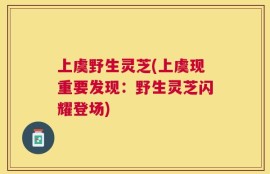 上虞野生灵芝(上虞现重要发现：野生灵芝闪耀登场)