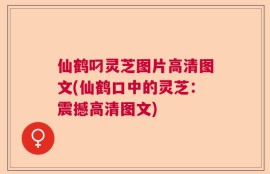 仙鹤叼灵芝图片高清图文(仙鹤口中的灵芝：震撼高清图文)