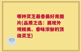 哪种灵芝最香最好用图片(品质之选：展现外观精美、香味浓郁的顶级灵芝)