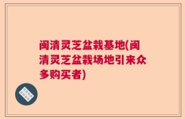 闽清灵芝盆栽基地(闽清灵芝盆栽场地引来众多购买者)