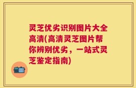 灵芝优劣识别图片大全高清(高清灵芝图片帮你辨别优劣，一站式灵芝鉴定指南)