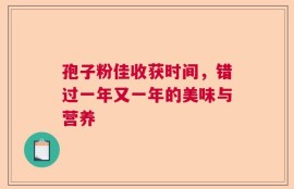 孢子粉佳收获时间，错过一年又一年的美味与营养