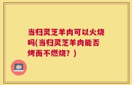 当归灵芝羊肉可以火烧吗(当归灵芝羊肉能否烤而不燃烧？)