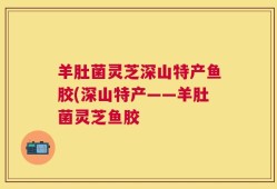 羊肚菌灵芝深山特产鱼胶(深山特产——羊肚菌灵芝鱼胶