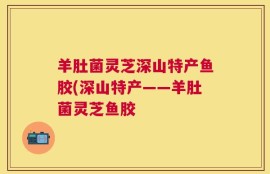 羊肚菌灵芝深山特产鱼胶(深山特产——羊肚菌灵芝鱼胶