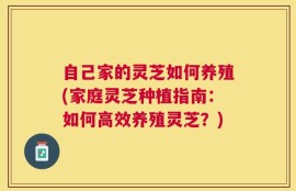 自己家的灵芝如何养殖(家庭灵芝种植指南：如何高效养殖灵芝？)