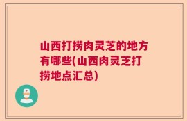 山西打捞肉灵芝的地方有哪些(山西肉灵芝打捞地点汇总)