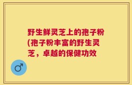 野生鲜灵芝上的孢子粉(孢子粉丰富的野生灵芝，卓越的保健功效