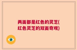 两面都是红色的灵芝(红色灵芝的双面奇观)