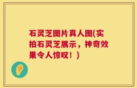 石灵芝图片真人图(实拍石灵芝展示，神奇效果令人惊叹！)