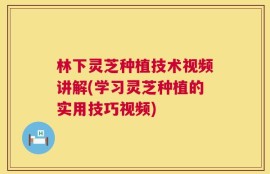 林下灵芝种植技术视频讲解(学习灵芝种植的实用技巧视频)