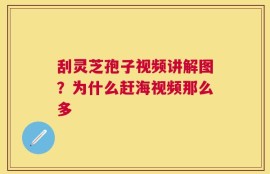 刮灵芝孢子视频讲解图？为什么赶海视频那么多