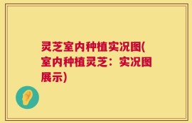 灵芝室内种植实况图(室内种植灵芝：实况图展示)