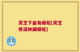 灵芝下面有蟒蛇(灵芝旁深林藏蟒蛇)
