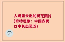 人嘴里长出的灵芝图片(奇特现象：中国农民口中长出灵芝)