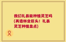我们礼县能种植灵芝吗(再造林业巨头！礼县灵芝种植盘点)