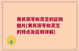 黄芪茯苓和灵芝的区别图片(黄芪茯苓和灵芝的特点及区别详解)