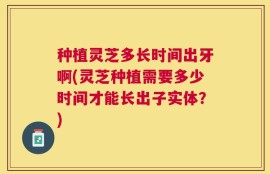 种植灵芝多长时间出牙啊(灵芝种植需要多少时间才能长出子实体？)