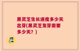 黑灵芝生长速度多少天出芽(黑灵芝发芽需要多少天？)