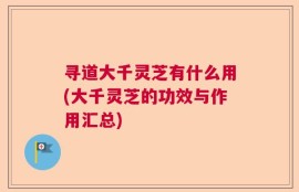 寻道大千灵芝有什么用(大千灵芝的功效与作用汇总)