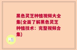 黑色灵芝种植视频大全集(全面了解黑色灵芝种植技术：完整视频合集)