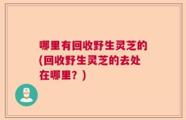 哪里有回收野生灵芝的(回收野生灵芝的去处在哪里？)