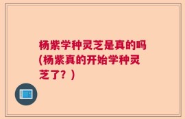 杨紫学种灵芝是真的吗(杨紫真的开始学种灵芝了？)