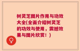 树灵芝图片作用与功效大全(全面介绍树灵芝的功效与使用，震撼效果与图片欣赏！)
