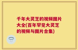 千年大灵芝的视频图片大全(百年罕见大灵芝的视频与图片合集)