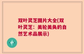 双叶灵芝图片大全(双叶灵芝：美轮美奂的自然艺术品展示)