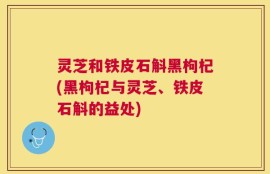 灵芝和铁皮石斛黑枸杞(黑枸杞与灵芝、铁皮石斛的益处)