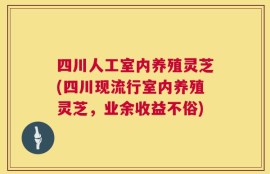 四川人工室内养殖灵芝(四川现流行室内养殖灵芝，业余收益不俗)