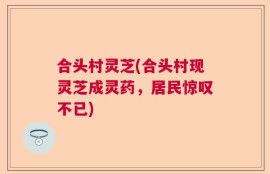 合头村灵芝(合头村现灵芝成灵药，居民惊叹不已)