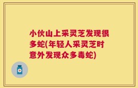 小伙山上采灵芝发现很多蛇(年轻人采灵芝时意外发现众多毒蛇)