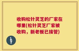 收购松针灵芝的厂家在哪里(松针灵芝厂家被收购，新老板已接管)
