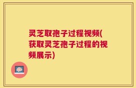灵芝取孢子过程视频(获取灵芝孢子过程的视频展示)